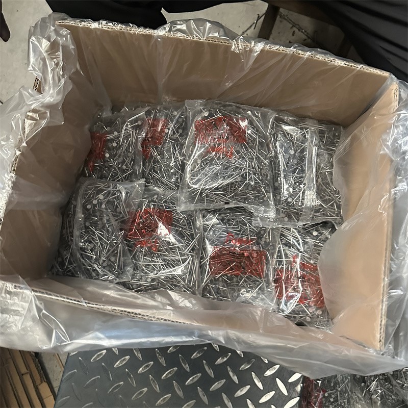 6power-common-nails-1kg-small-size 6power-common-nails-1kg-small-size