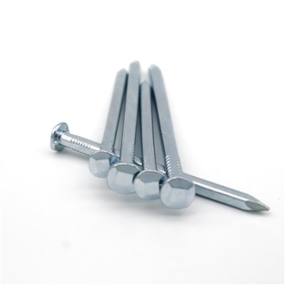 Clous de bateau carrés galvanisés